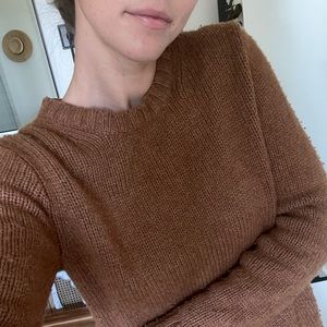 J.Crew Brown Sweater